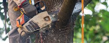 Best Firewood Processing and Delivery  in Pike Road, AL