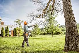 Best Tree Mulching  in Pike Road, AL
